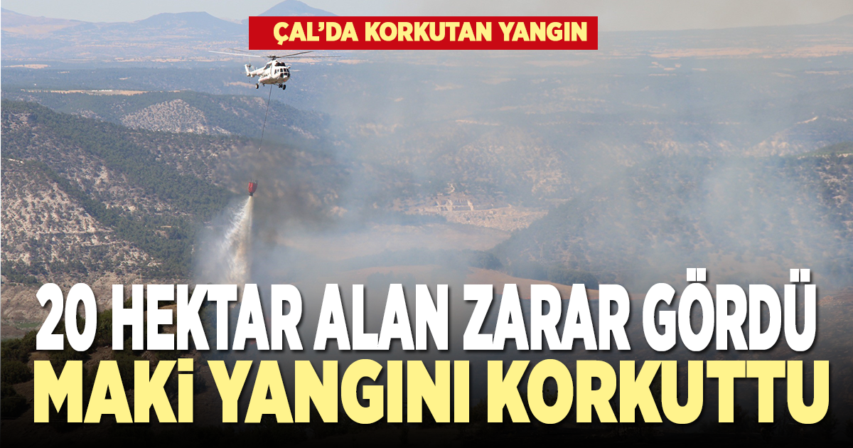Çal'da makilik alanda çıkan yangında 20 hektar alan zarar gördü 