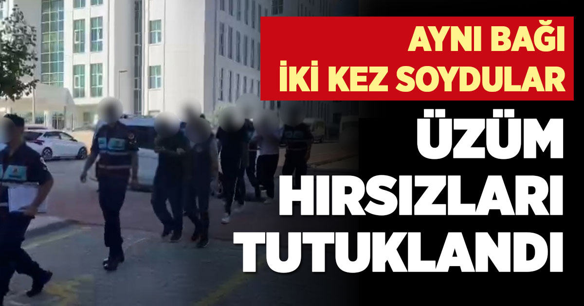 Üzüm hırsızları tutuklandı