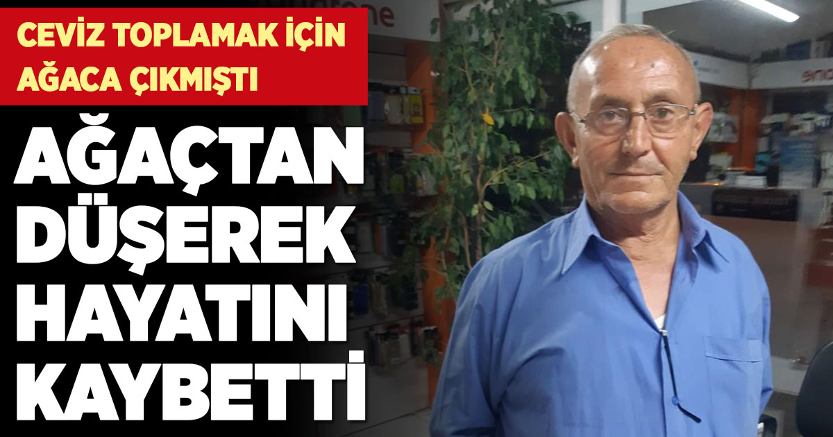 Çıktığı ağaçtan düşerek hayatını kaybetti