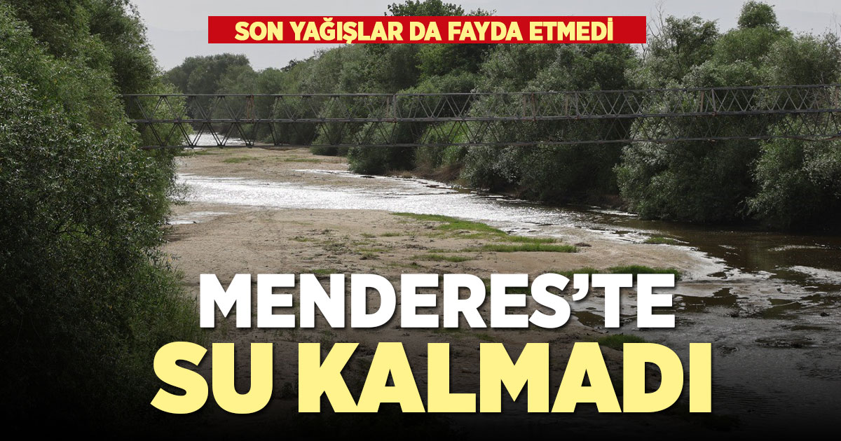 Bir zamanlar taşan Menderes şimdi suya hasret