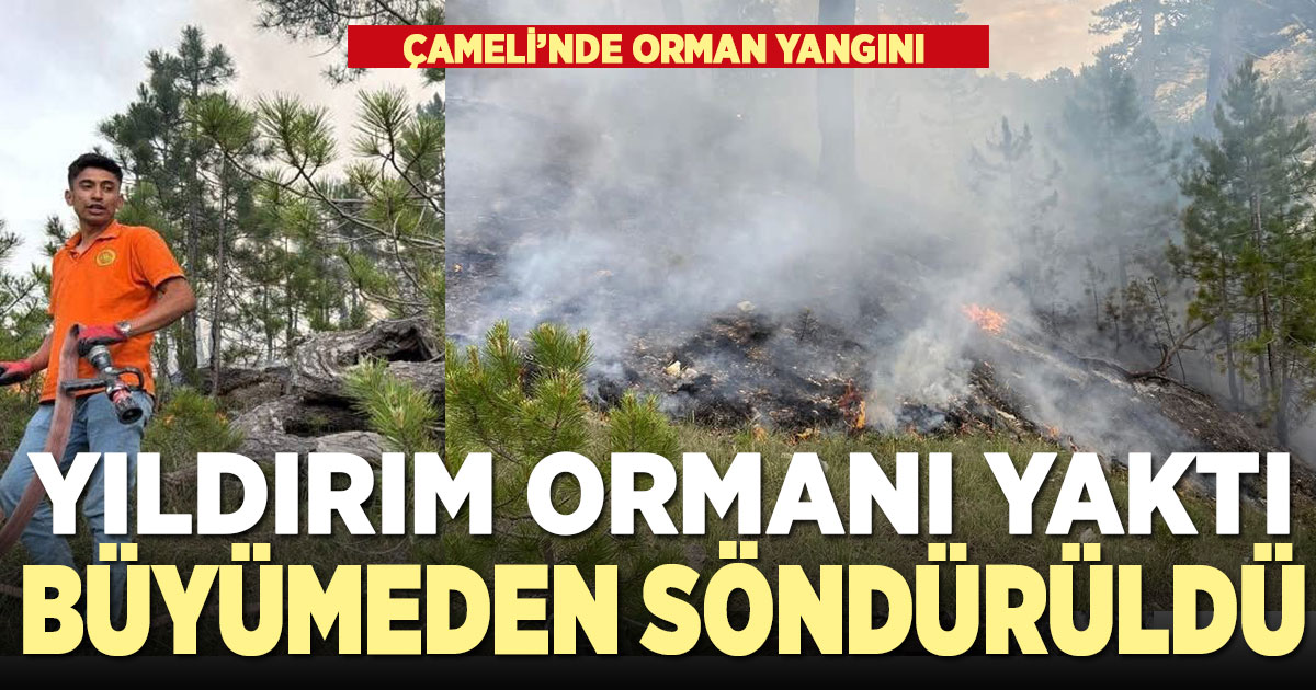 Yıldırım düşmesi sonucu çıkan orman yangını büyümeden söndürüldü