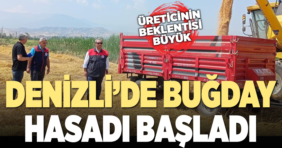 Denizli’de buğday hasadı başladı