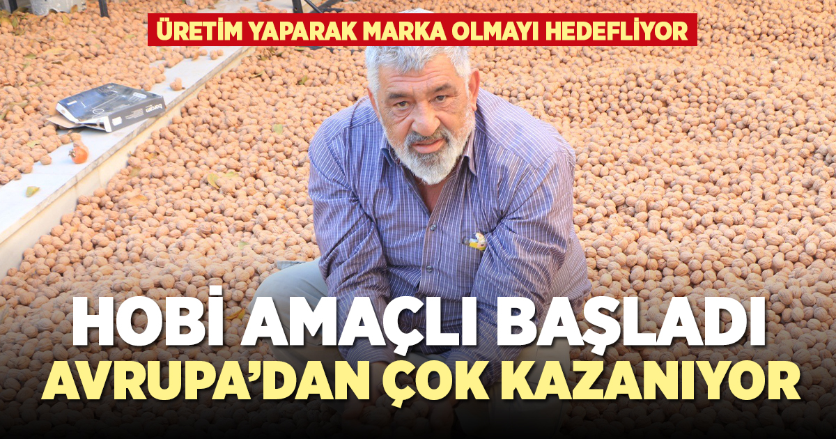 Hobi amaçlı başladığı ceviz üretiminde Avrupa'dan daha çok kazanıyor