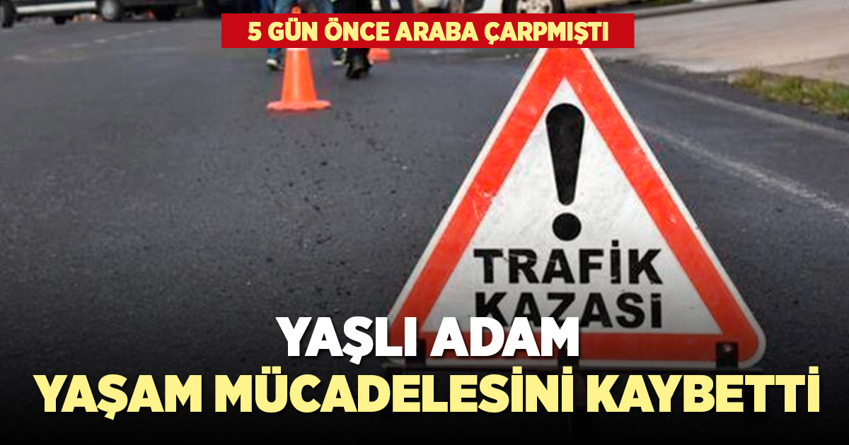 5 gün önce araba çarpan yaşlı adam hayatını kaybetti