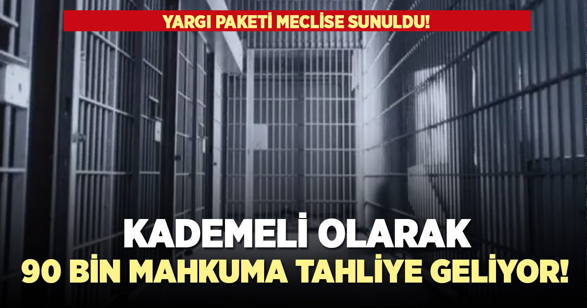 Kademeli olarak 90 bin mahkuma tahliye geliyor!
