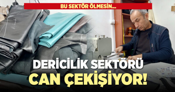 Dericilik sektörü can çekişiyor!