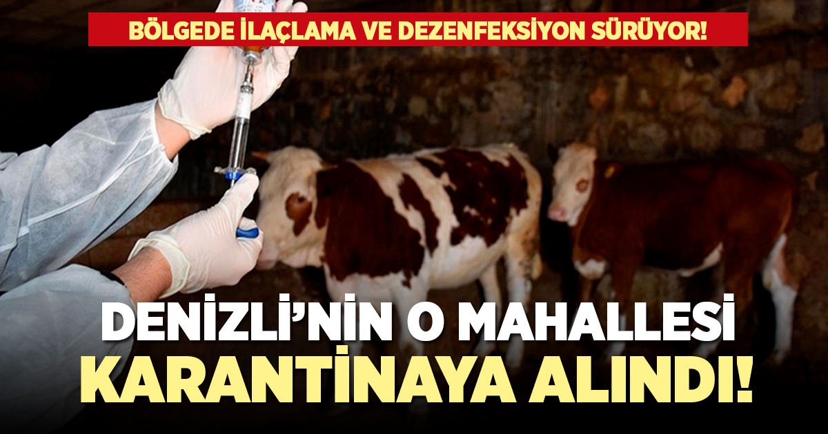 Denizli'nin 1 mahallesi karantinaya alındı!