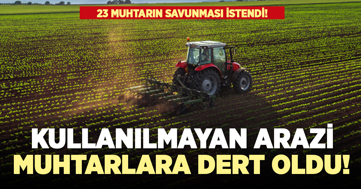 Kullanılmayan araziler muhtarlara dert oldu!