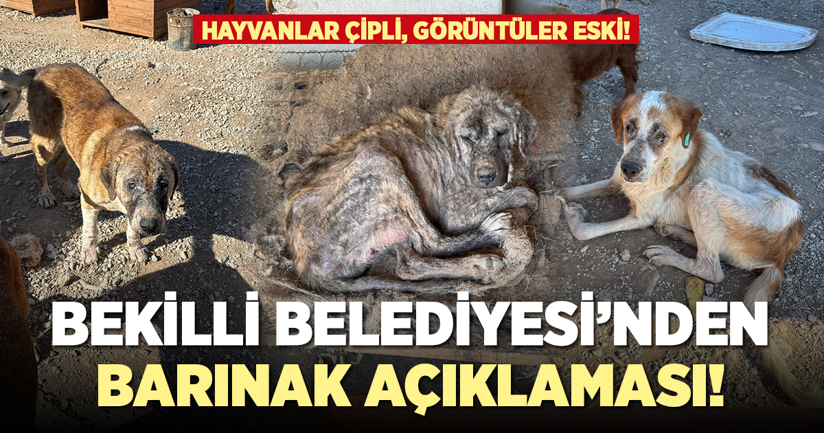 Bekilli Belediyesi'nden barınak ile ilgili açıklama!