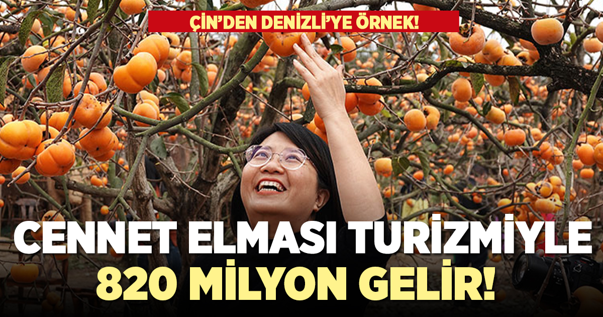 Cennet elması bahçelerinden 820 milyon gelir elde ettiler!