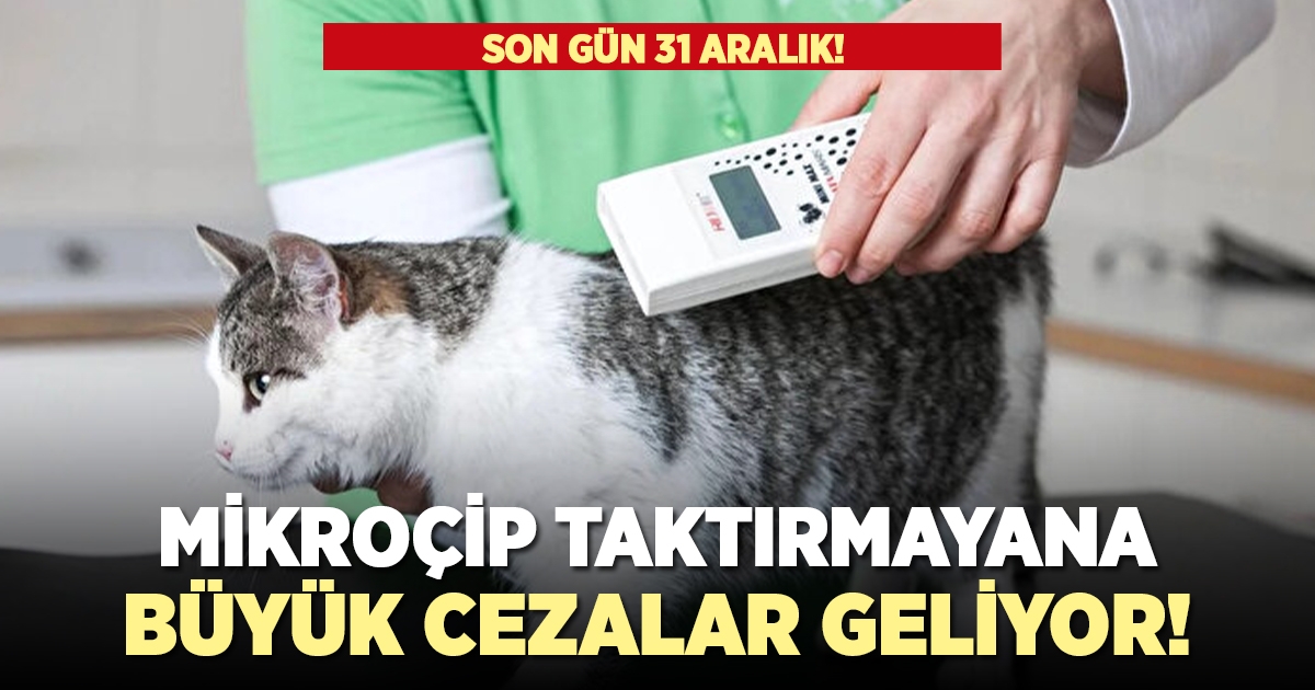 Mikroçip taktırmayana büyük cezalar geliyor!