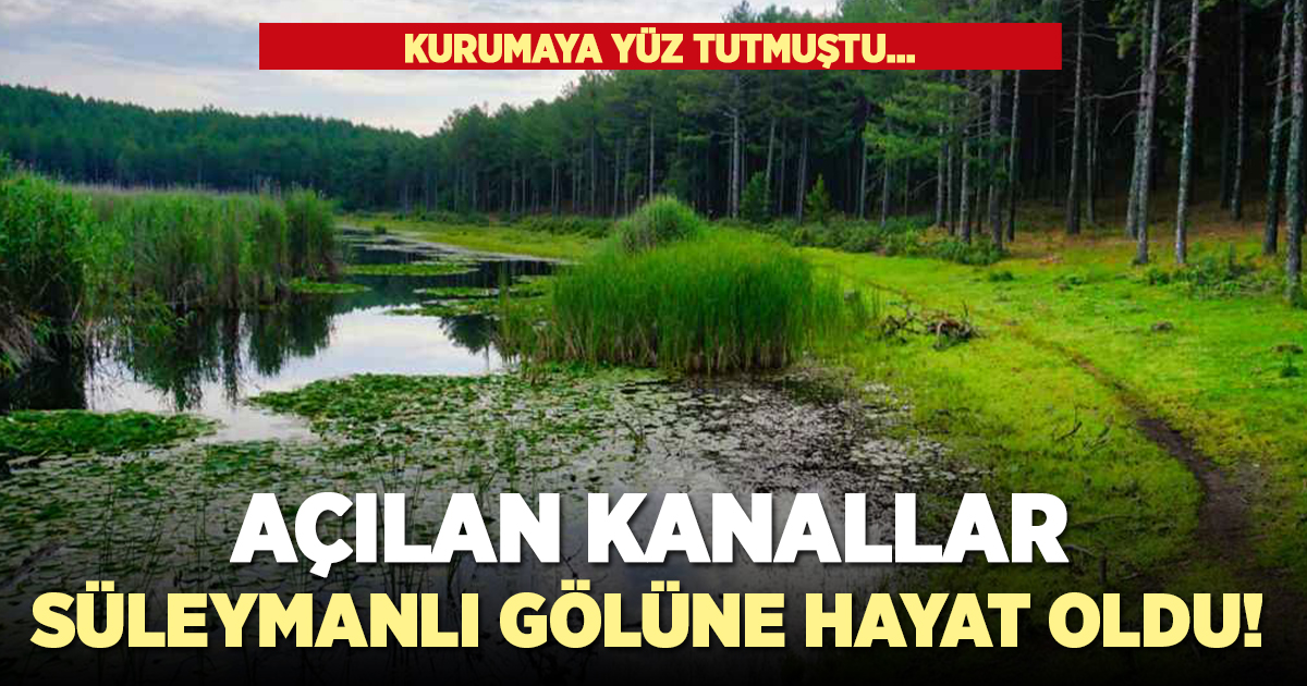 Kurumaya yüz tutmuş göle kanallar hayat oldu!