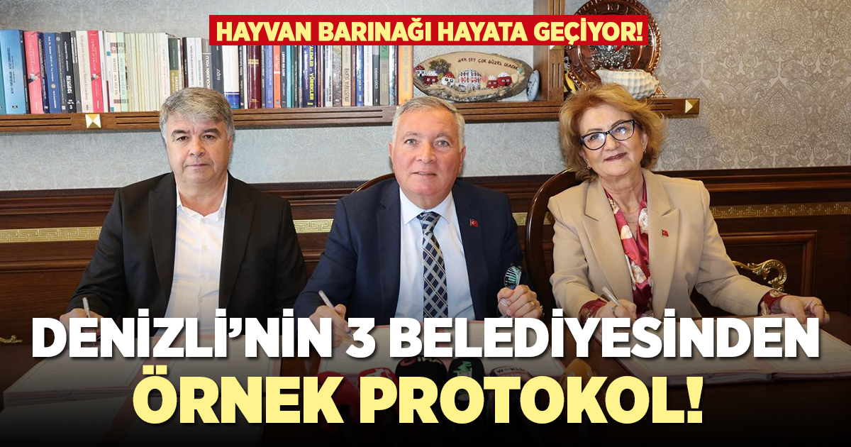Denizli'de 3 belediyeden ortak barınak protokolü imzalandı