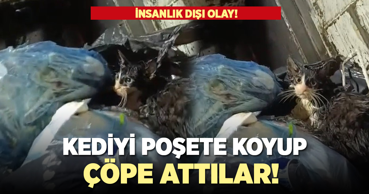 Kediyi poşete koyup çöpe attılar!