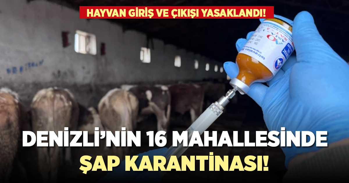 Denizli'nin 16 mahallesi şap karantinasına alındı!
