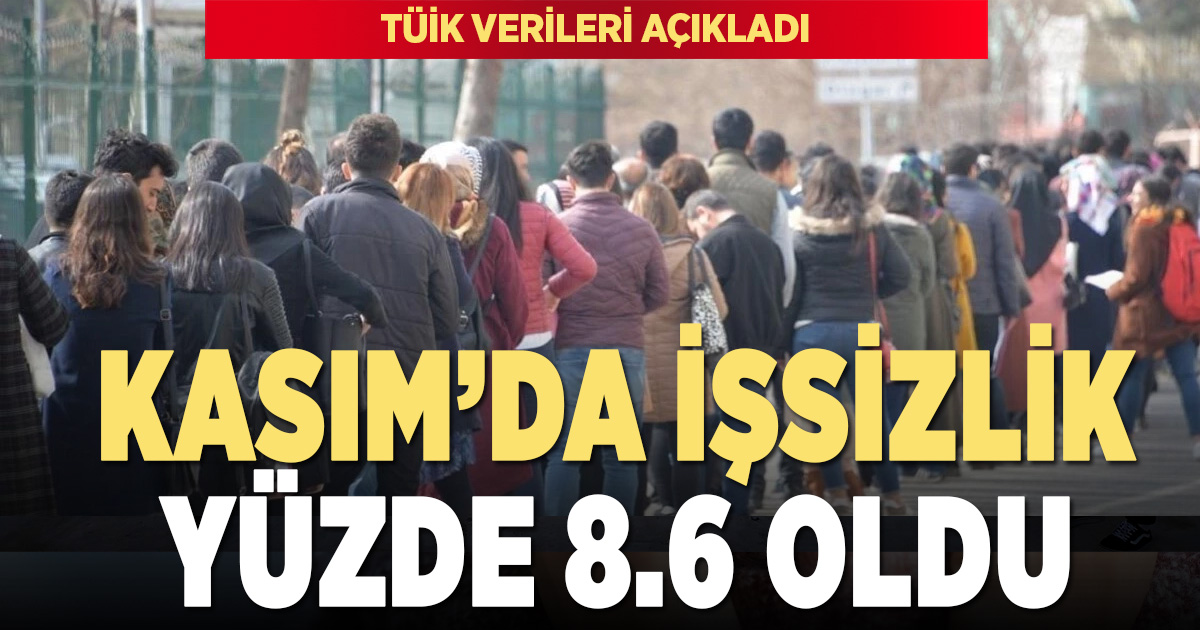 Kasımda işsizlik yüzde 8,6 oldu