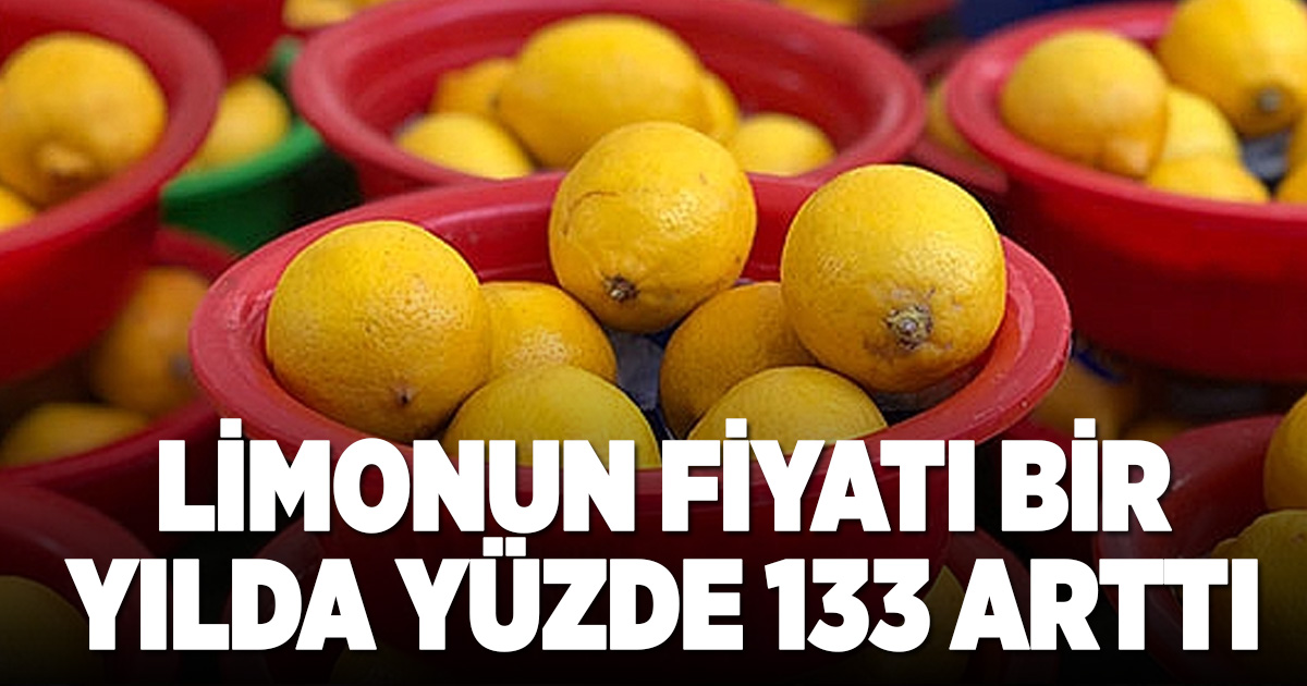 2025’te 41 tarım ürününden 28’inin fiyatı arttı: Rekor limonda