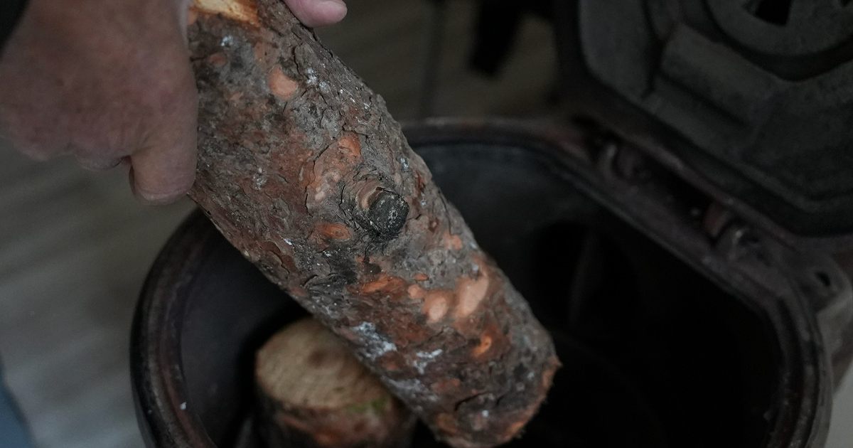 Budanan ağaçlar yuvaları ısıtıyor