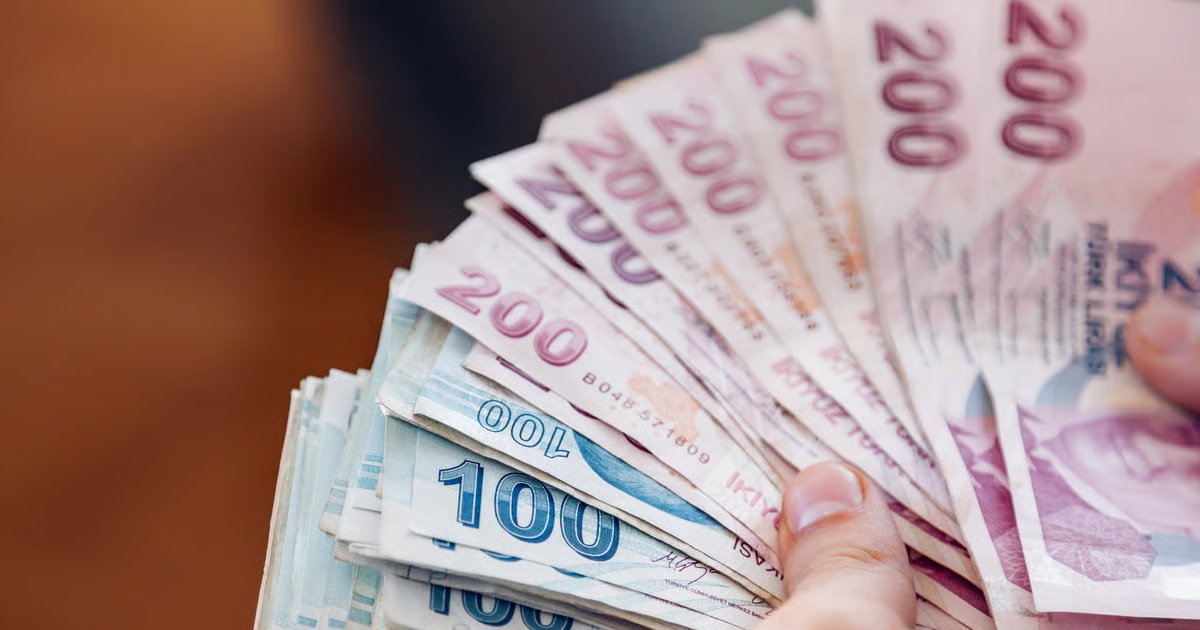 Tüketici Fiyat Endeksi, Aralık 2025