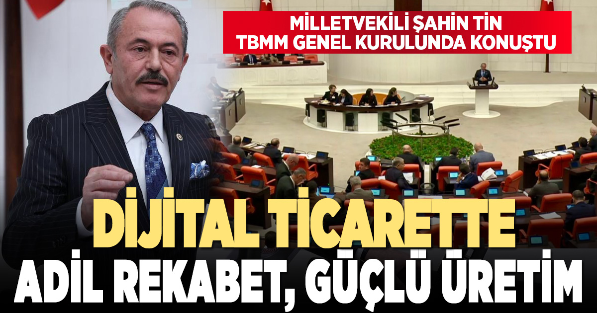 Milletvekili Şahin Tin, TBMM Genel Kurulu’nda Konuştu