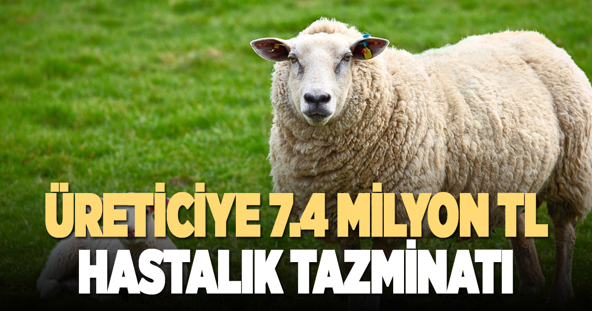 Denizlili üreticiye 7,4 milyon hastalık tazminatı ödemesi yapıldı
