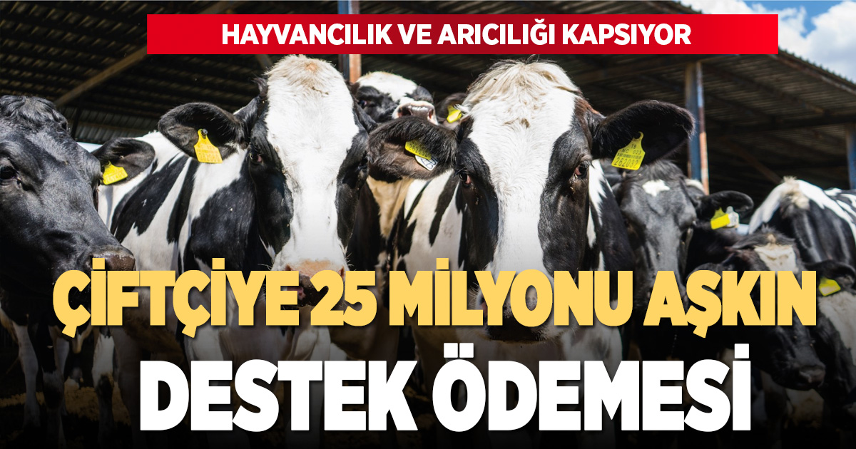 Denizli’de çiftçilere 25 milyon lirayı aşkın destek ödemesi