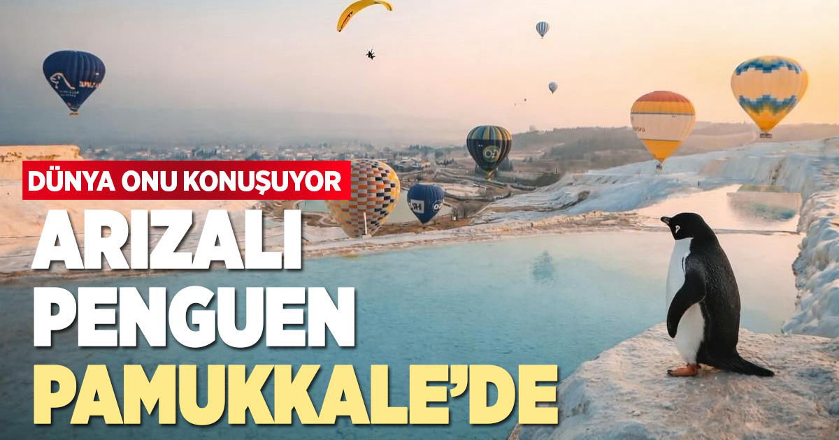 İnterneti kasıp kavuran “Arızalı penguen” Pamukkale’de görüldü!