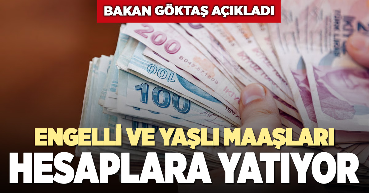 Ocak ayı yaşlı ve engelli aylıkları hesaplara yatırılmaya başlandı