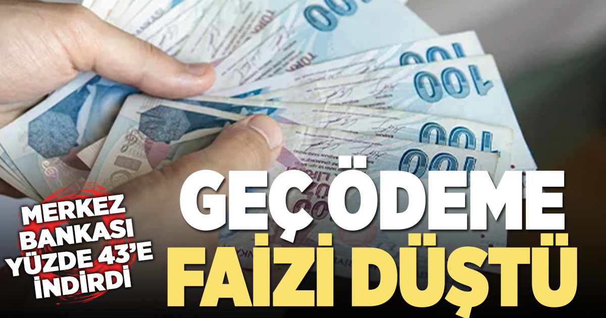 Geç ödemelere uygulanan temerrüt faizi yüzde 43’e indirildi