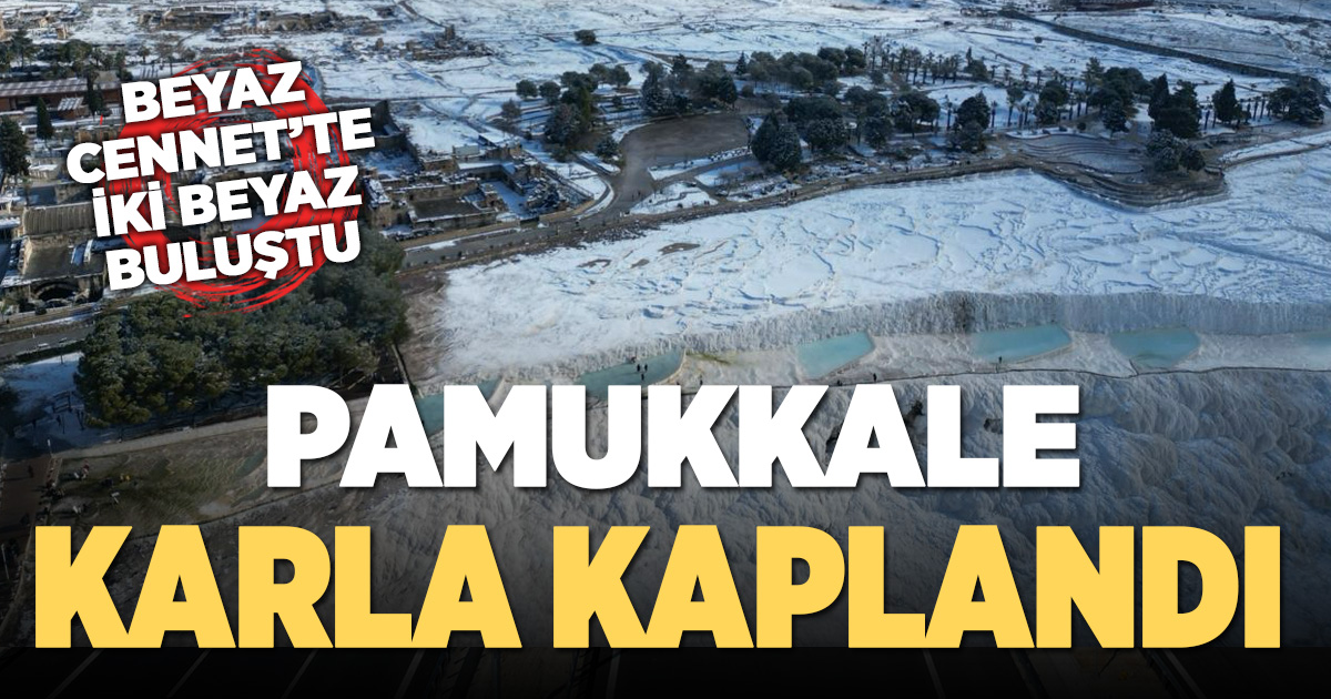 Pamukkale'de kar yağışıyla yeni yılın ilk gününde iki beyaz bir araya geldi