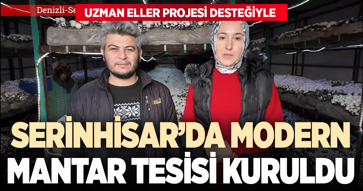 Serinhisar’da Uzman Eller’le modern mantar üretimi başladı