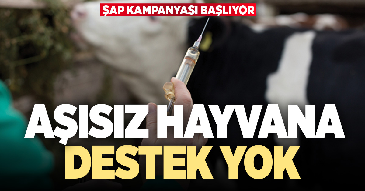 Aşısız hayvana destek yok: Şap kampanyası başlıyor