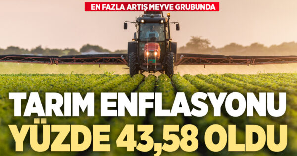Tarım enflasyonu yıllık yüzde 43,58 oldu