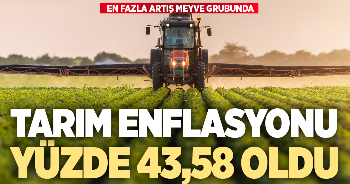 Tarım enflasyonu yıllık yüzde 43,58 oldu