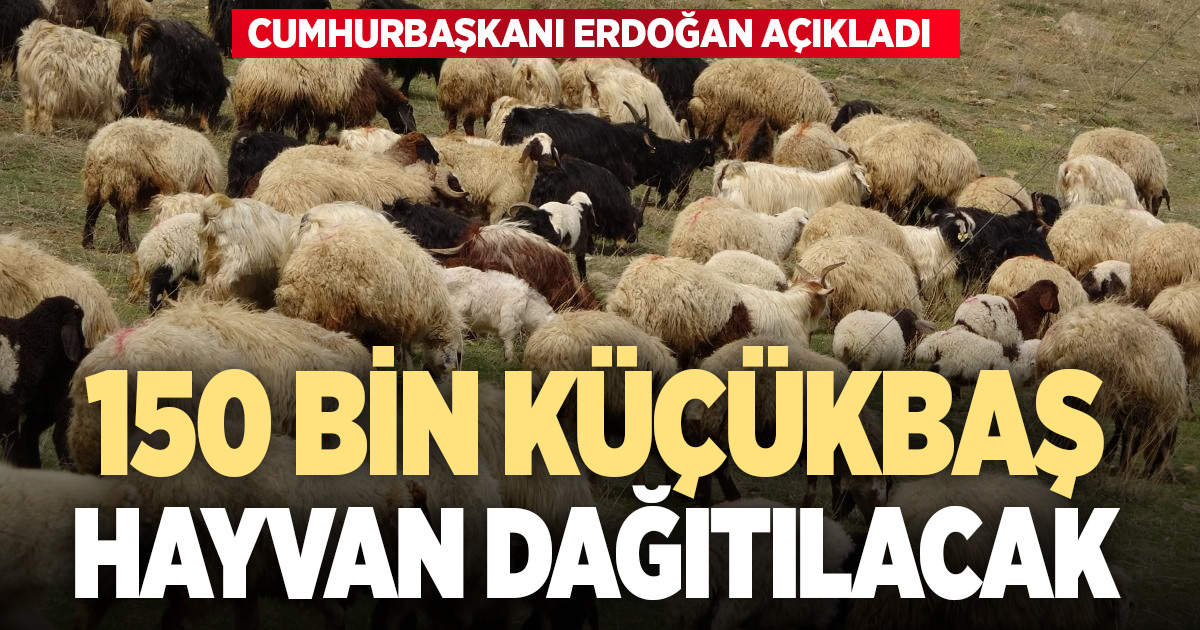 Cumhurbaşkanı Erdoğan üreticiye 150 bin küçükbaş hayvan dağıtılacağını açıkladı