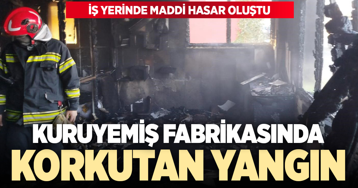 Kuruyemiş fabrikasında korkutan yangın