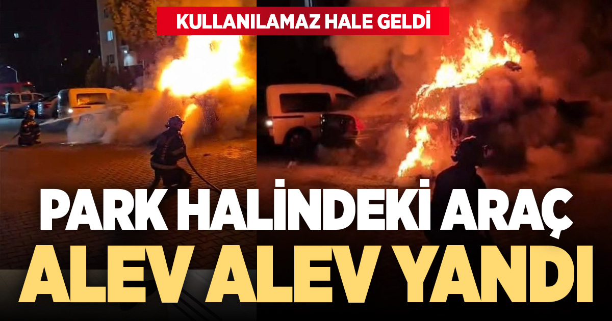 Denizli’de park halindeki araç alev alev yandı