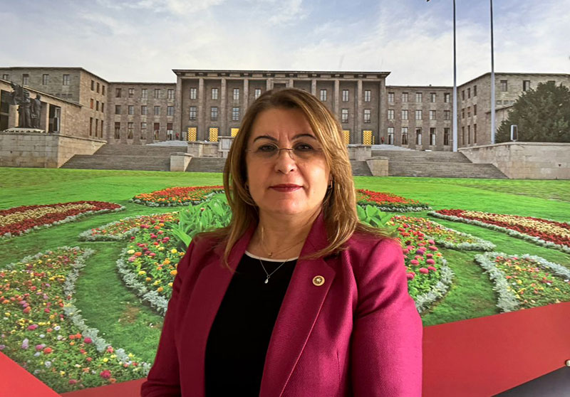 Denizli’nin tarımsal sulaması için araştırma önergesi