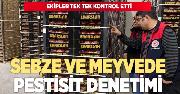 Taze meyve ve sebzede pestisit denetimi