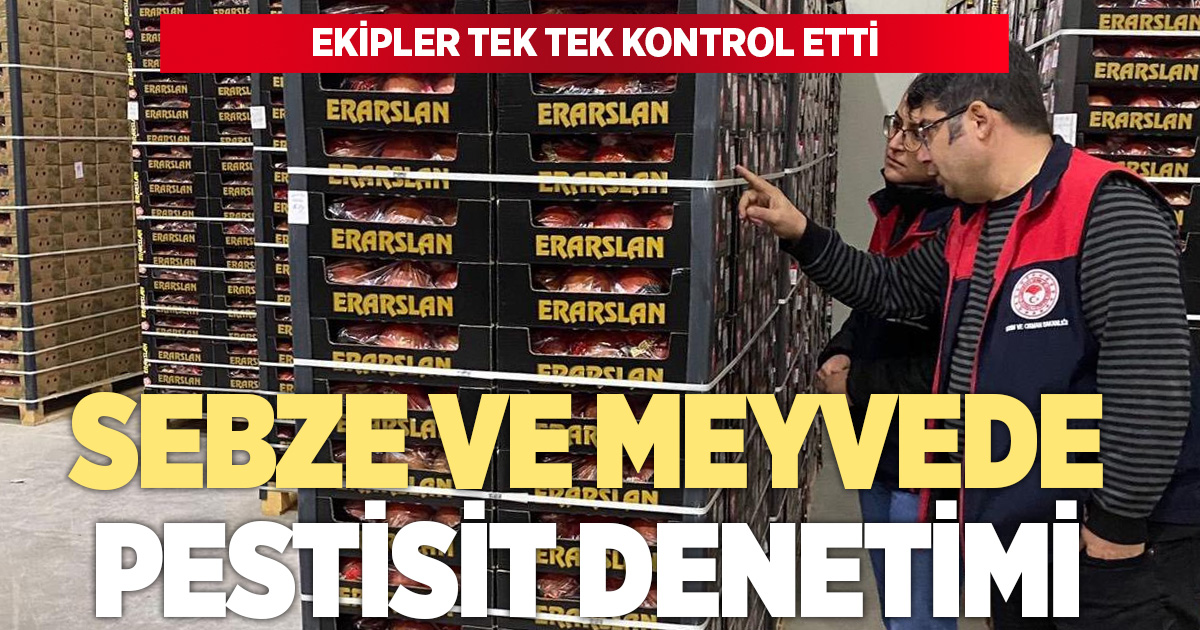 Taze meyve ve sebzede pestisit denetimi