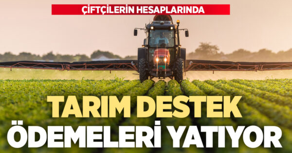 Tarım destekleme ödemeleri çiftçilerin hesaplarına aktarılmaya başlandı