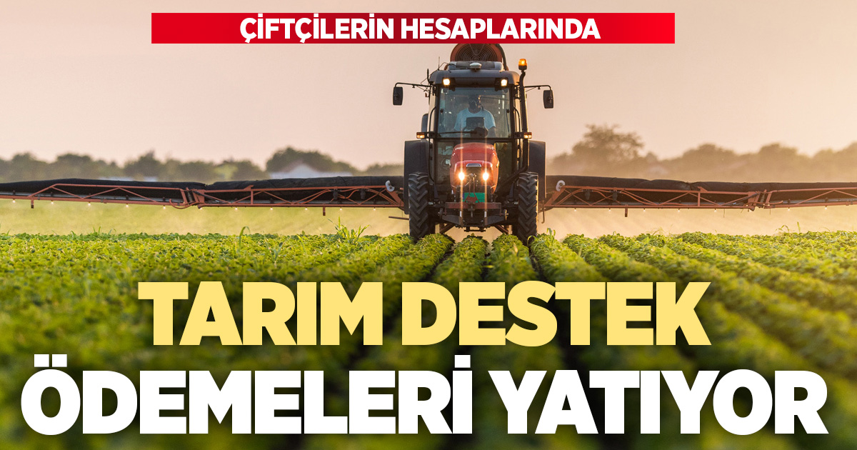 Tarım destekleme ödemeleri çiftçilerin hesaplarına aktarılmaya başlandı