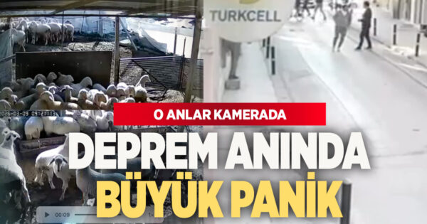 Denizli’de deprem korkusu: Hayvanlar panikledi, market rafları devrildi