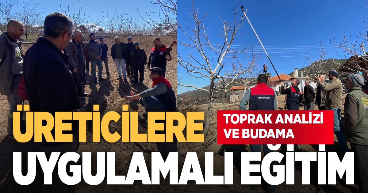 Denizli’de üreticilere budama ve toprak analizi eğitimi