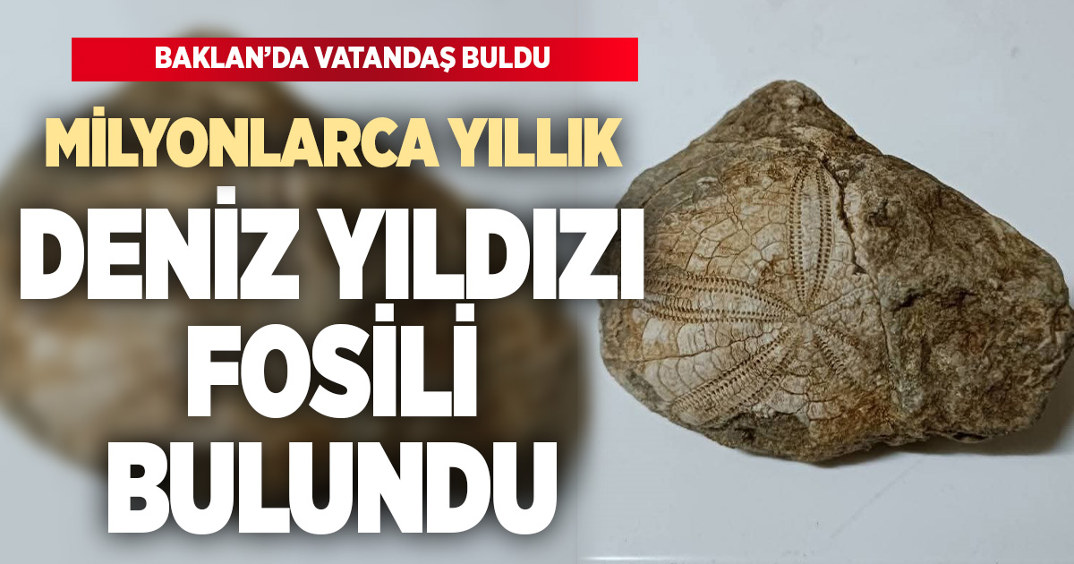 Baklan’da milyonlarca yıllık deniz yıldızı fosili bulundu