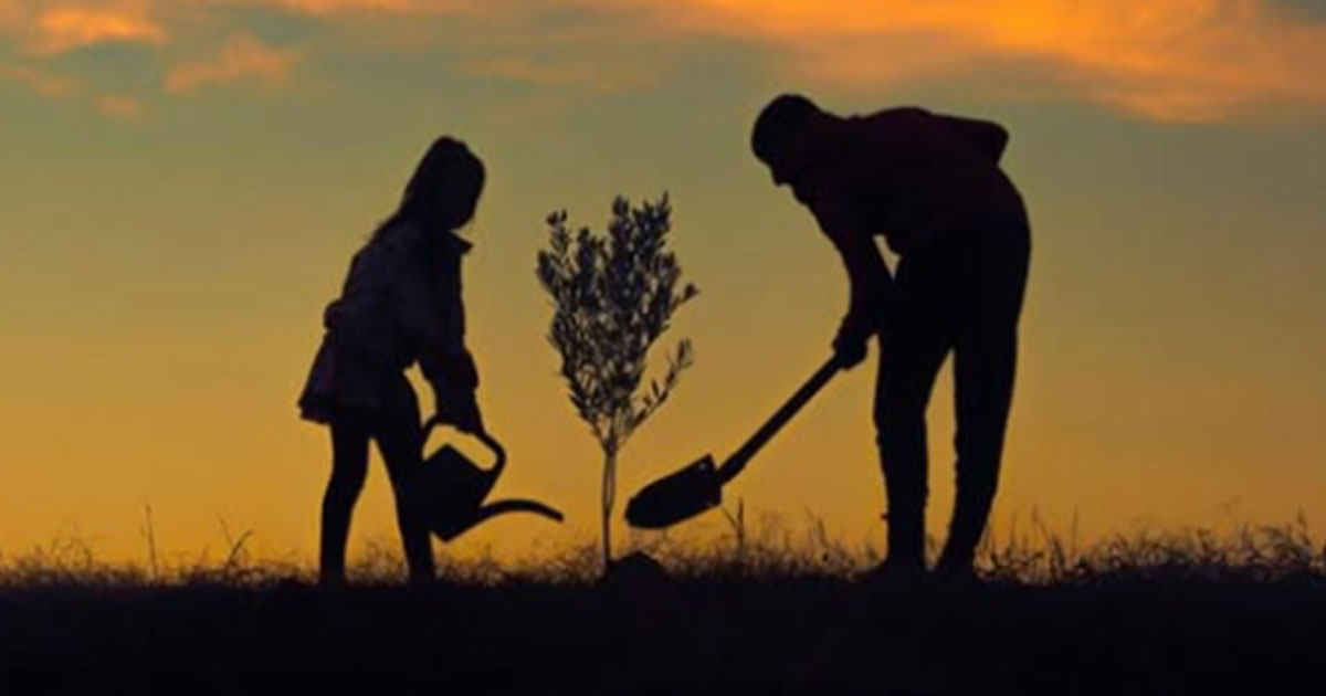 ‘Yeşilin Altın Damlası’ Fotoğraf Yarışması’nda kazananlar açıklandı