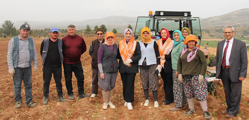 Çal Kaymakamı Kuran, tarım makinesine binip kekik fidesi dikti