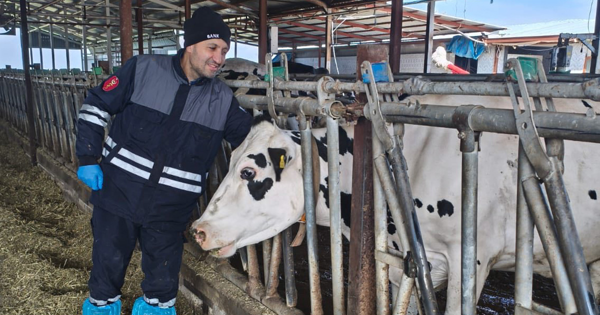 Denizli’de hayvan sağlığına güçlü takip