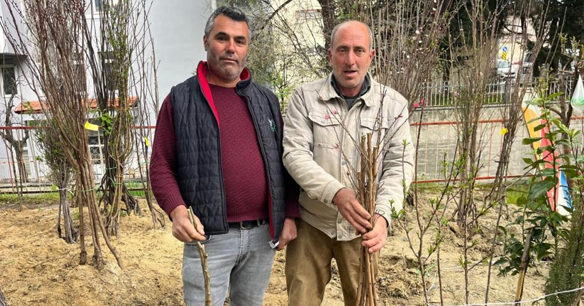 Buldan'ın bereketli toprakları fidanlarla canlanıyor