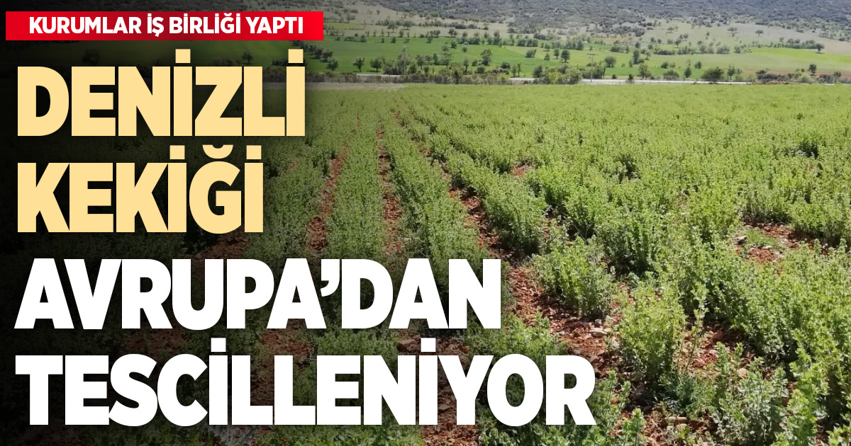 Denizli kekiğinin AB’den coğrafi işaret alması için kurumlar iş birliği yaptı